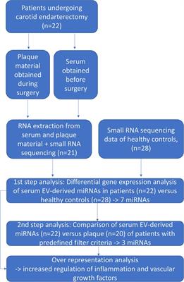 Identification of microRNA biomarkers simultaneously expressed in circulating extracellular vesicles and atherosclerotic plaques